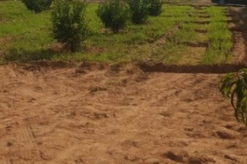 Farmhouse, Islamabad Farm Houses